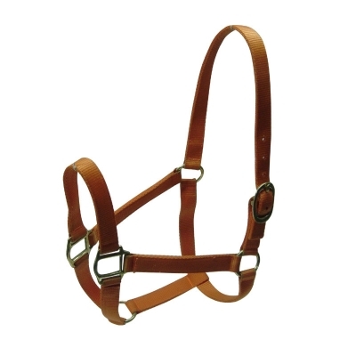 Halters & Reins